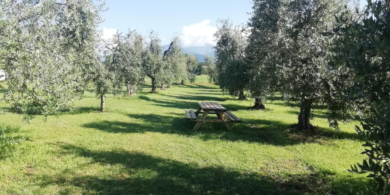 Agriturismo Fioralba Polpenazze del Garda Dış mekan fotoğraf