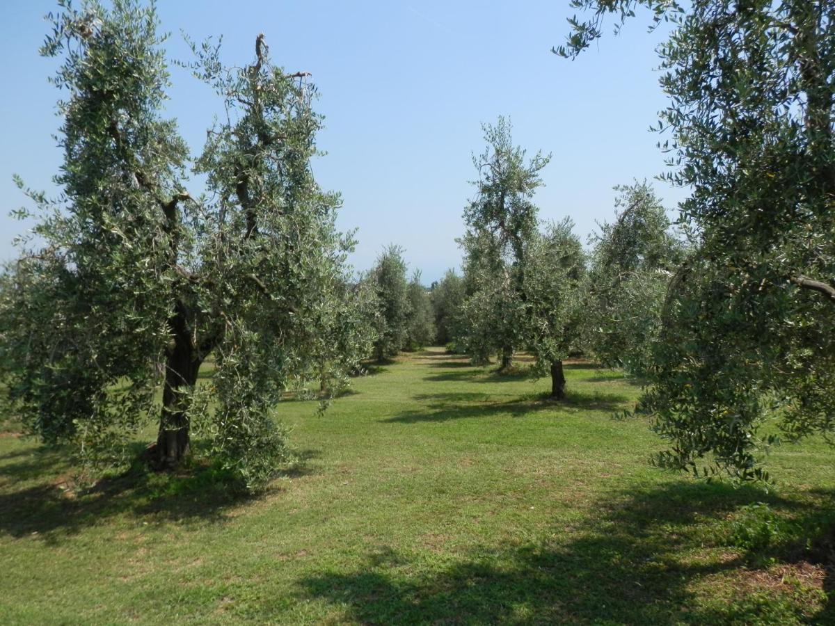 Agriturismo Fioralba Polpenazze del Garda Dış mekan fotoğraf