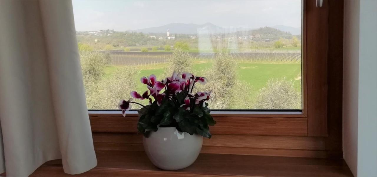 Agriturismo Fioralba Polpenazze del Garda Dış mekan fotoğraf
