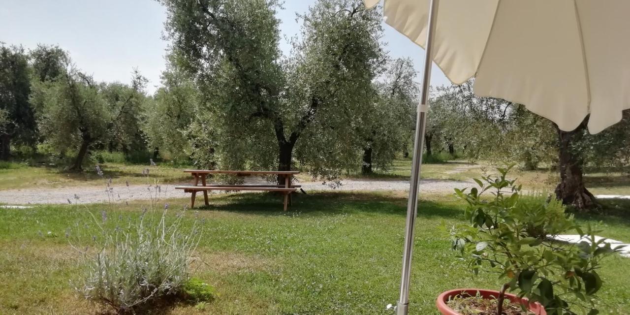 Agriturismo Fioralba Polpenazze del Garda Dış mekan fotoğraf