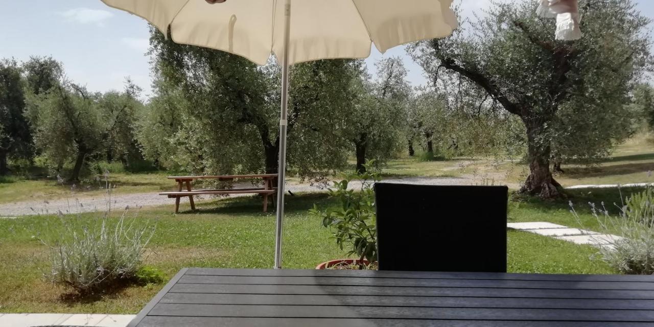 Agriturismo Fioralba Polpenazze del Garda Dış mekan fotoğraf