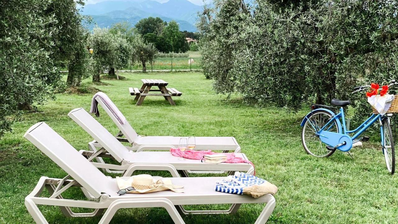 Agriturismo Fioralba Polpenazze del Garda Dış mekan fotoğraf