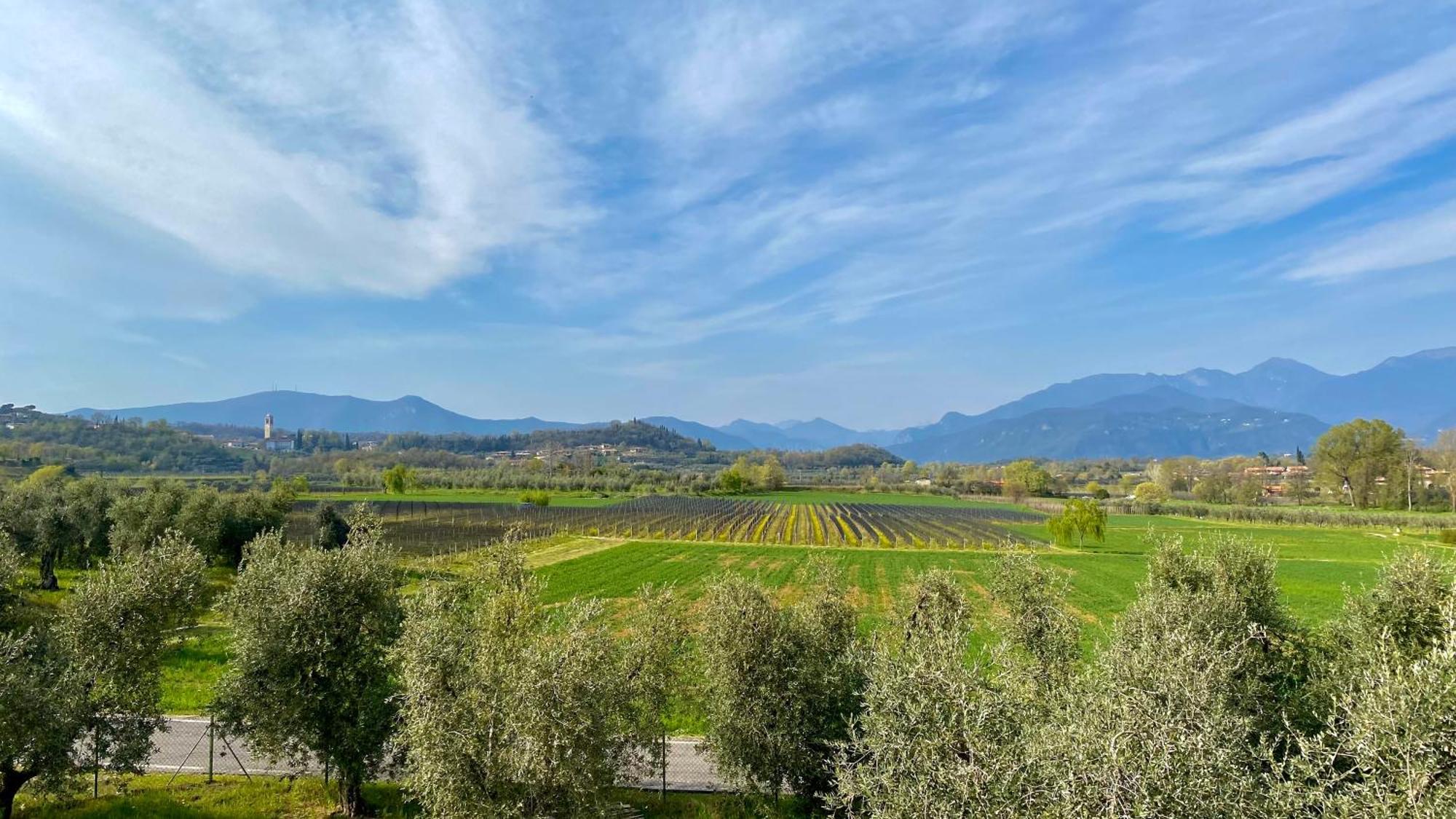Agriturismo Fioralba Polpenazze del Garda Dış mekan fotoğraf