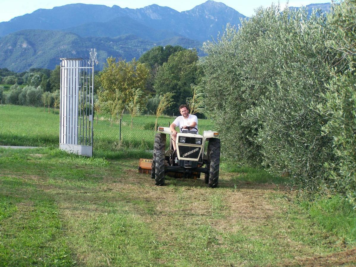 Agriturismo Fioralba Polpenazze del Garda Dış mekan fotoğraf