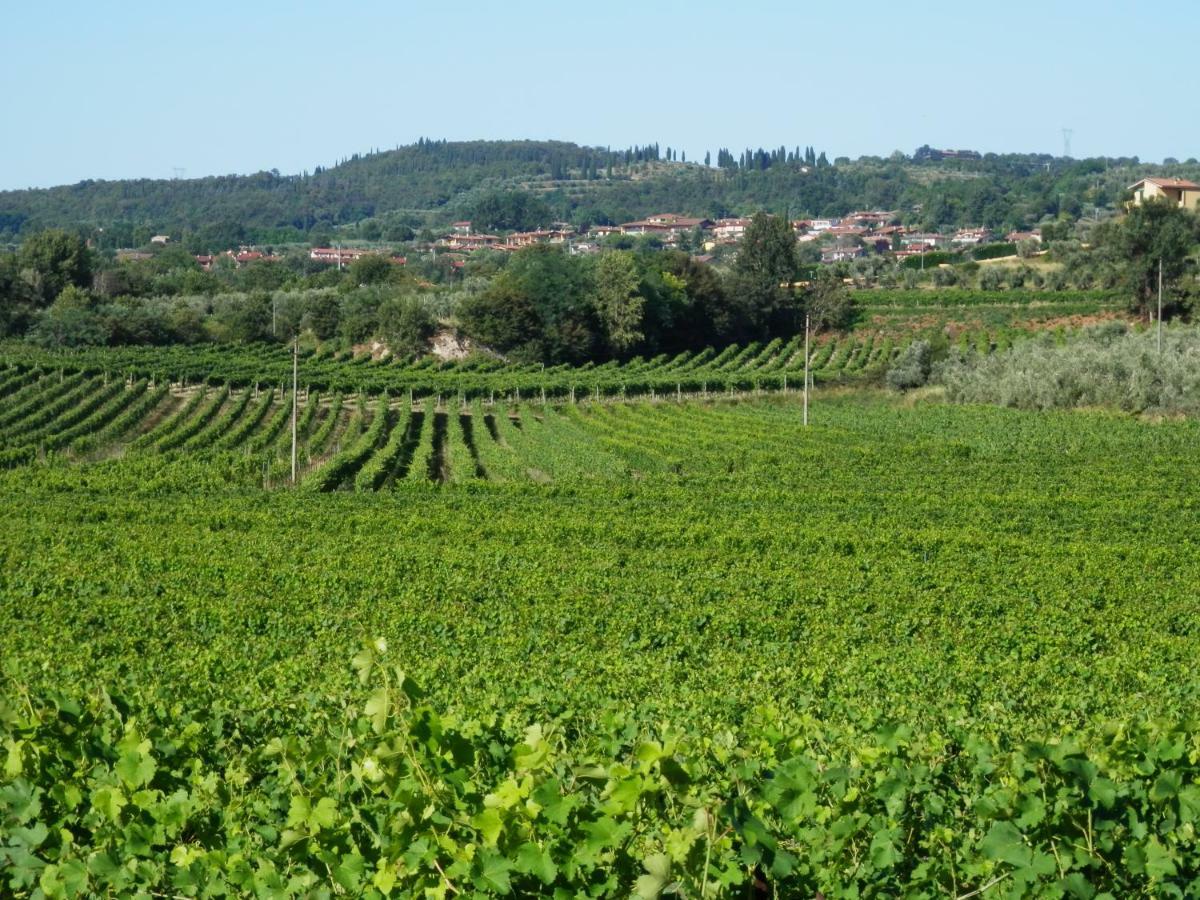 Agriturismo Fioralba Polpenazze del Garda Dış mekan fotoğraf