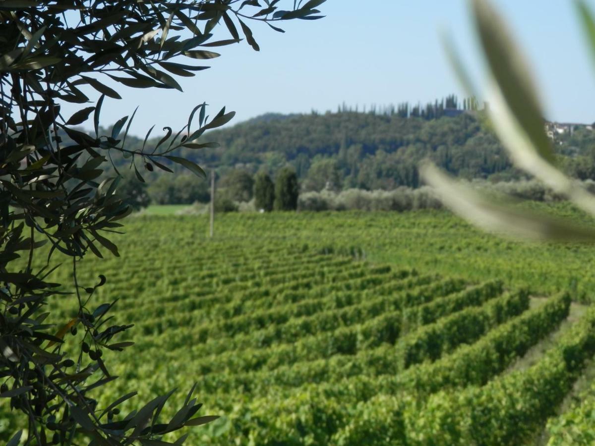 Agriturismo Fioralba Polpenazze del Garda Dış mekan fotoğraf