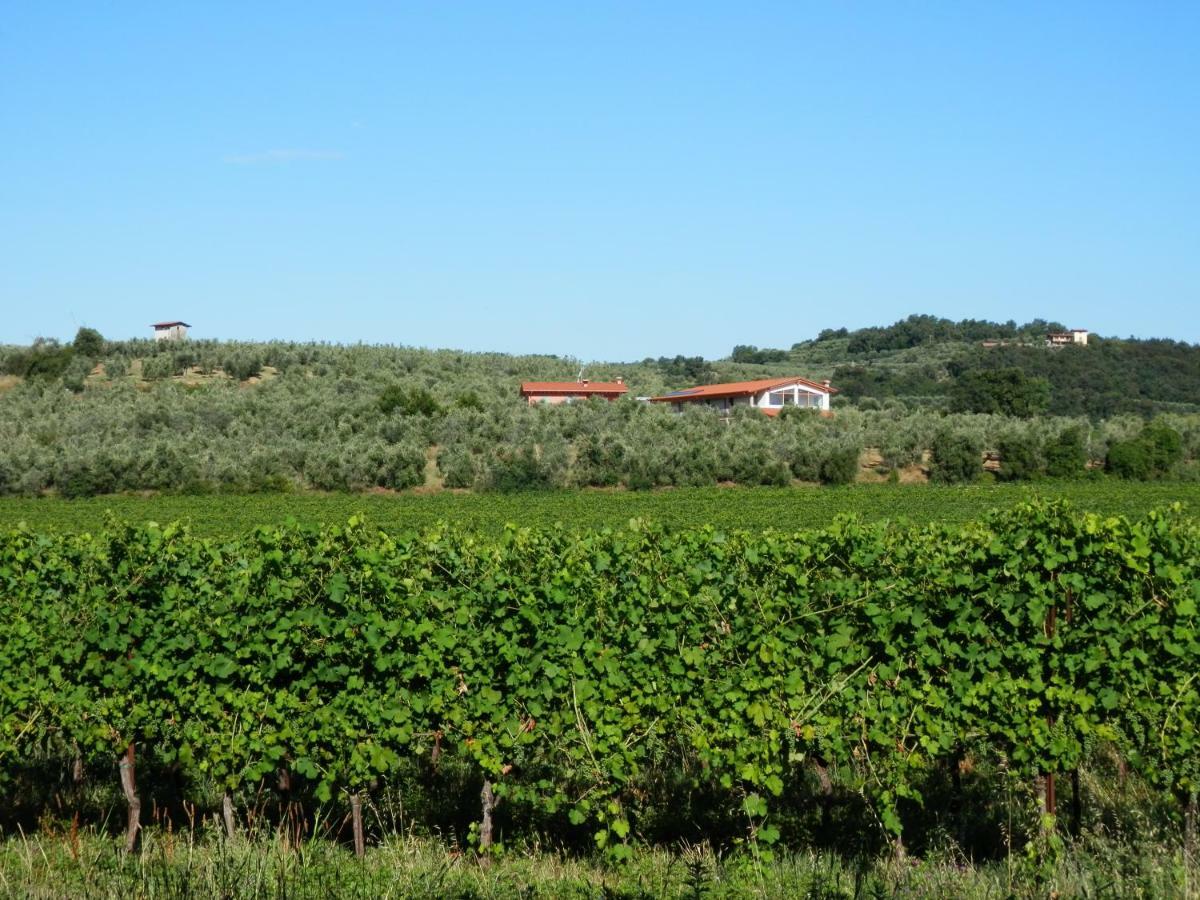 Agriturismo Fioralba Polpenazze del Garda Dış mekan fotoğraf
